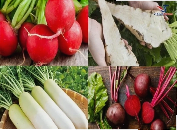 Bã củ cải đường làm thức ăn cho dê núi