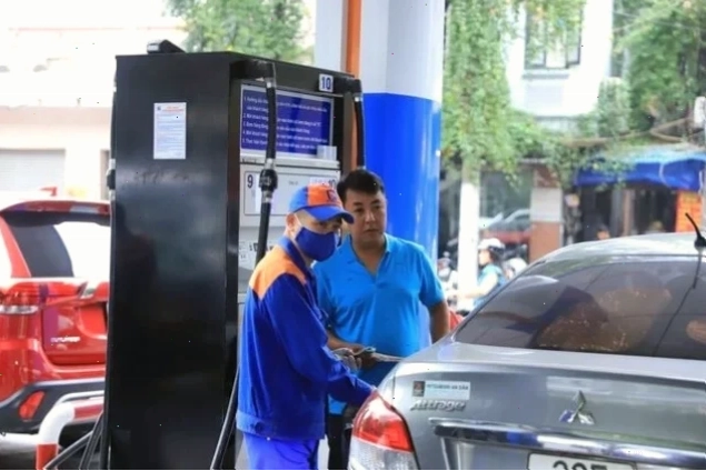 Biện pháp bảo vệ bộ rễ cây trồng khỏi sự bới phá của đàn gà