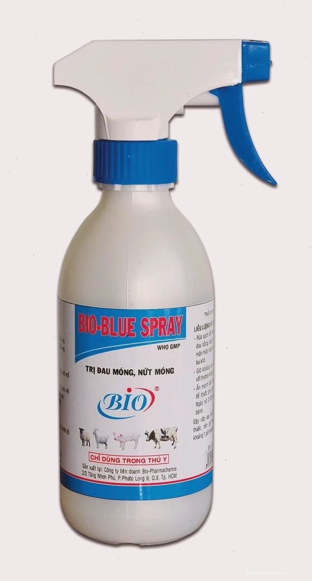 Bò bị lở mồm long móng với các mụn nước ở miệng