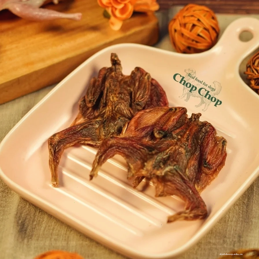 Bỏ túi những cách chăm sóc chó Golden để chúng phát triển khỏe mạnh