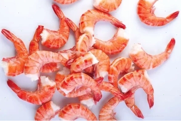 Cách chế biến tôm cho mèo an toàn