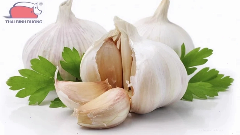 Cách trị cầu trùng gà bằng tỏi hiệu quả