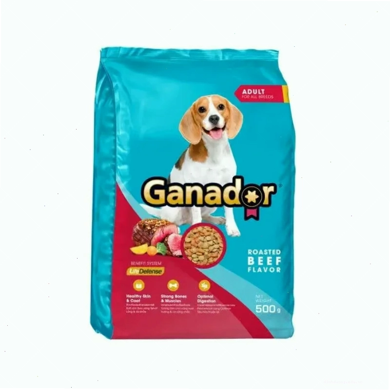 Chó 3 tháng tuổi ăn gì an toàn và bổ dưỡng