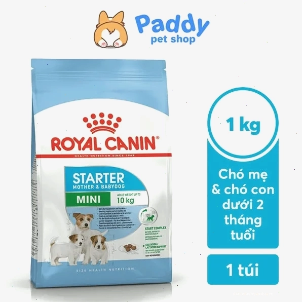 Chó mang thai ăn gì cần bổ sung Omega-3 từ dầu cá