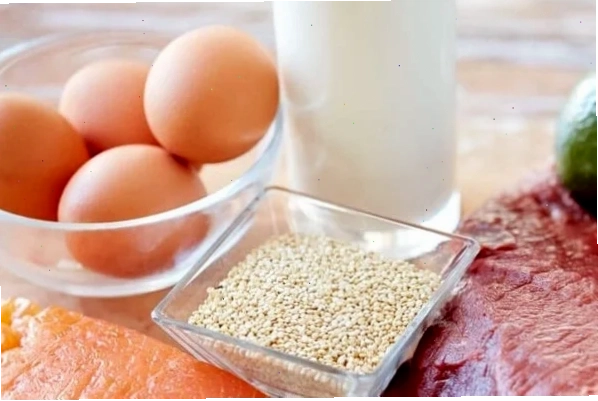 Chó mẹ vừa sinh xong nên ăn gì để có nhiều sữa và phục hồi sức khỏe