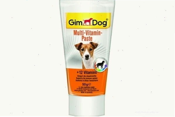 Gel dinh dưỡng Gimdog cho chó biếng ăn