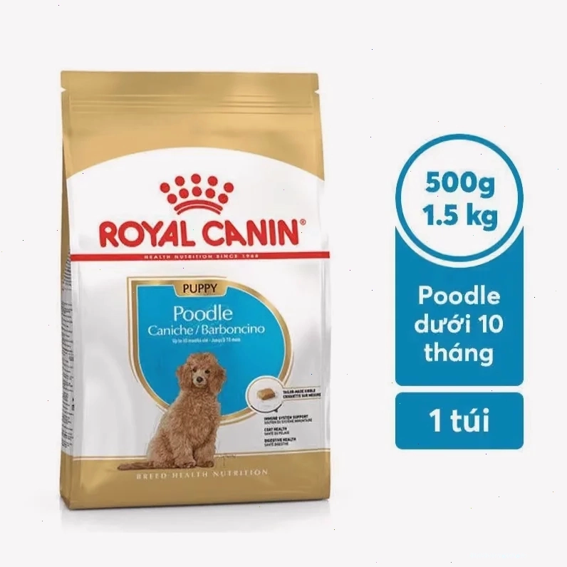 Hạt cho chó dòng nhỏ Royal Canin Mini Starter