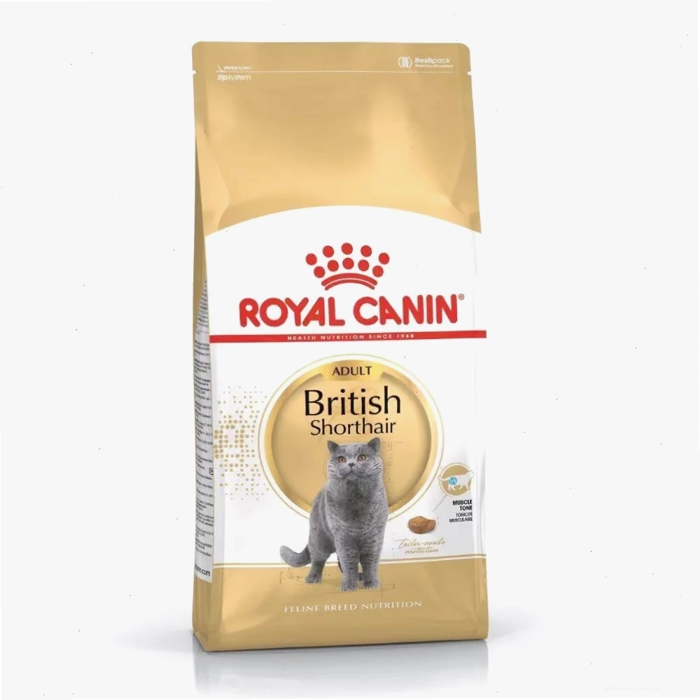 Hạt cho mèo anh lông ngắn trưởng thành Royal Canin British Shorthair Adult