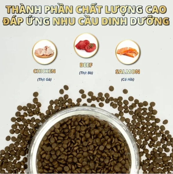 Hạt Orijen & Acana cung cấp dinh dưỡng toàn diện cho mèo