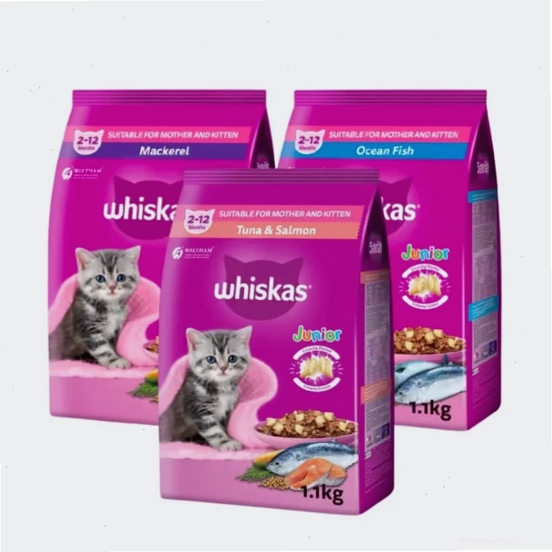 Hạt Whiskas Junior dinh dưỡng cho mèo con