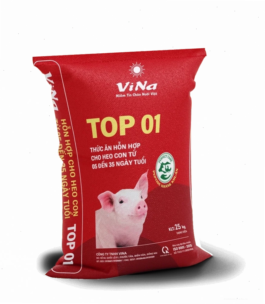 Heo con tập ăn trong máng