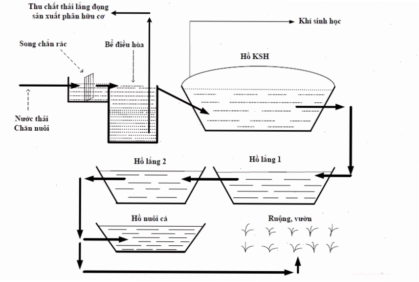 Hoạt động của hầm Biogas trong việc xử lý chất thải chăn nuôi