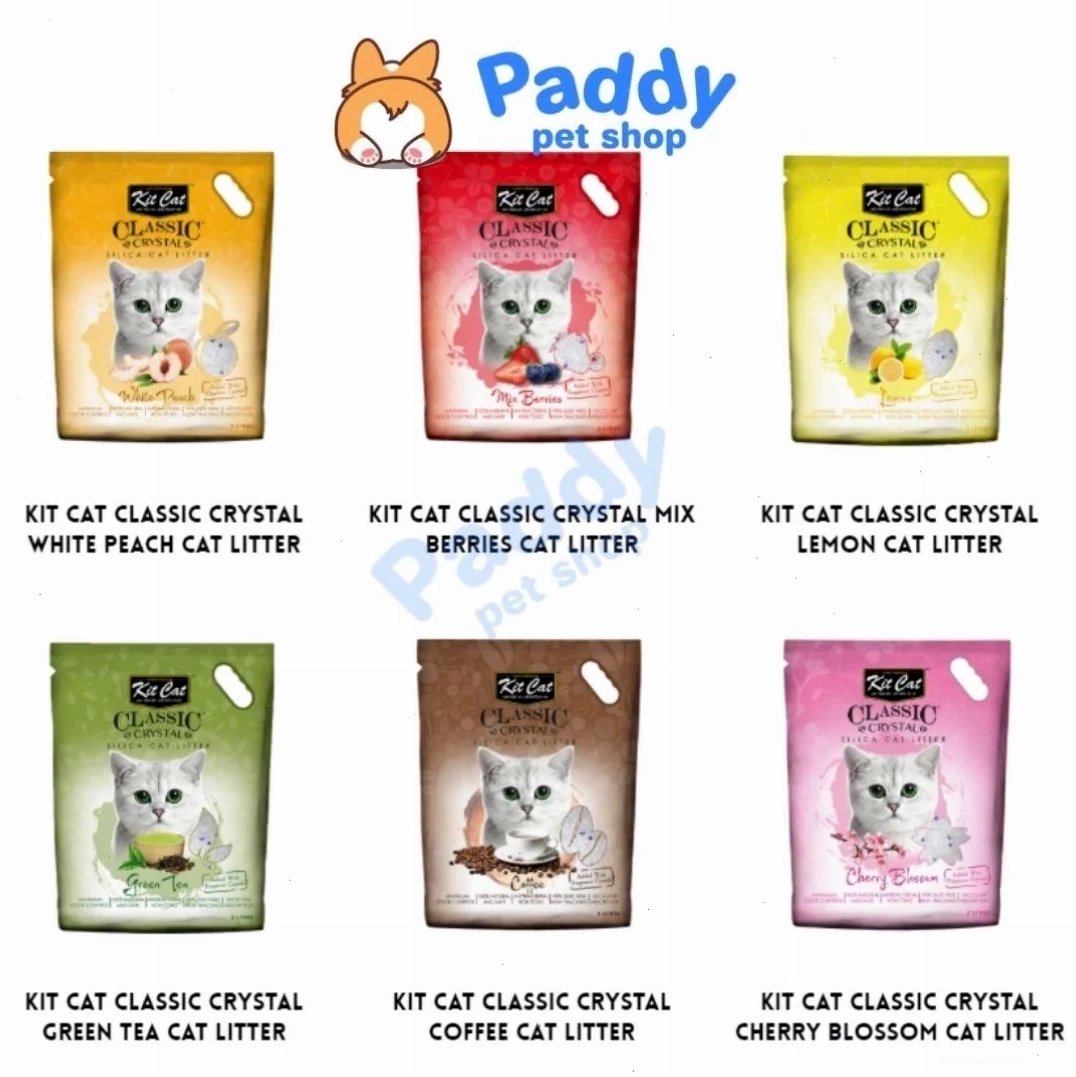 Hộp cát thủy tinh cho mèo nhiều mùi hương