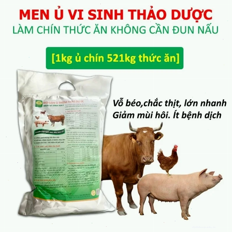 Men vi sinh ủ thức ăn chăn nuôi giúp vật nuôi tăng trọng nhanh