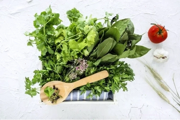 Mèo đang có dấu hiệu mệt mỏi sau khi ăn phải đồ độc