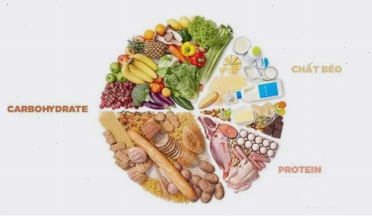 Nên cho chó con ăn các thực phẩm giàu chất béo đạm vitamin và tinh bột