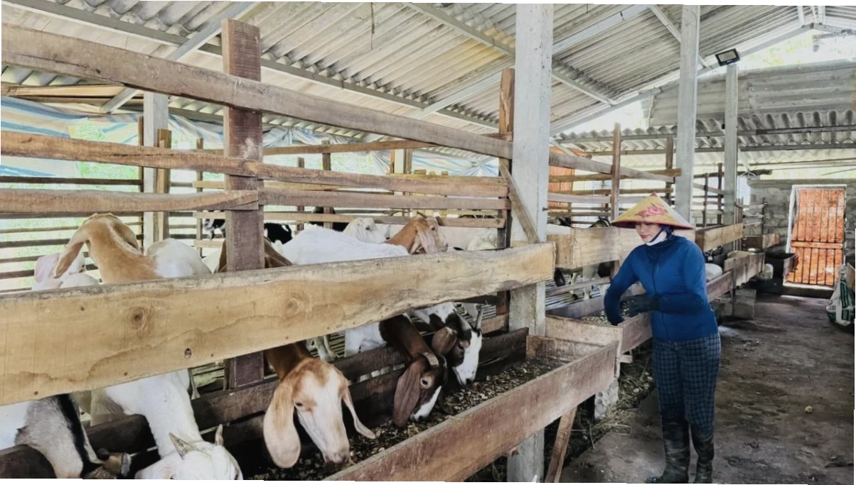 Nguồn thức ăn và nước uống sạch sẽ đảm bảo dinh dưỡng
