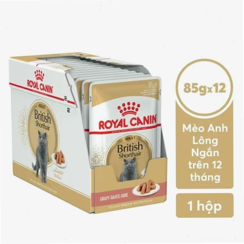 Pate cho mèo anh lông ngắn trưởng thành Royal Canin