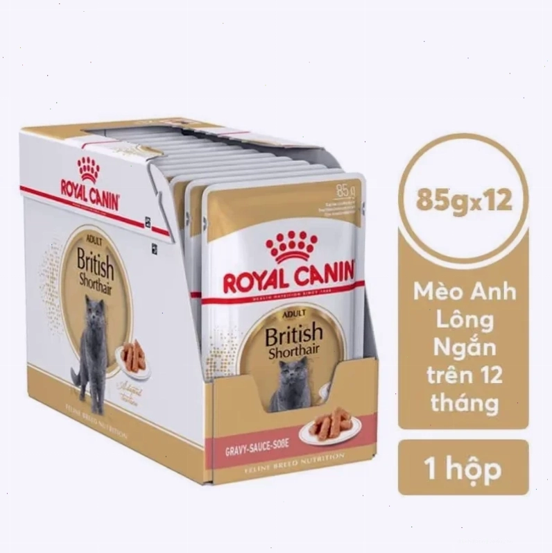 Pate Cho Mèo Anh Lông Ngắn Trưởng Thành Royal Canin British Shorthair 85g