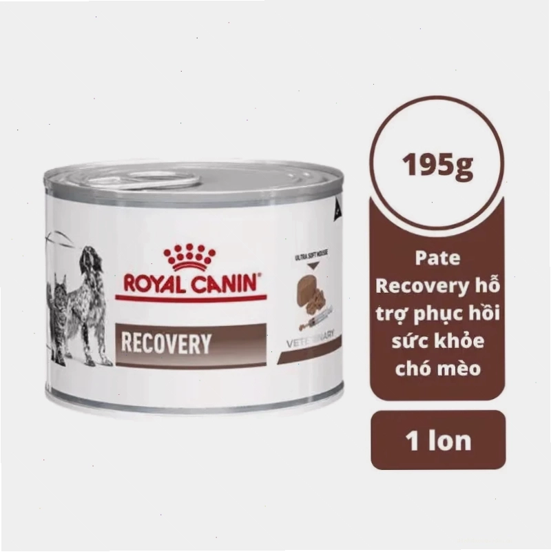 Pate dinh dưỡng giúp mèo phục hồi sức khỏe