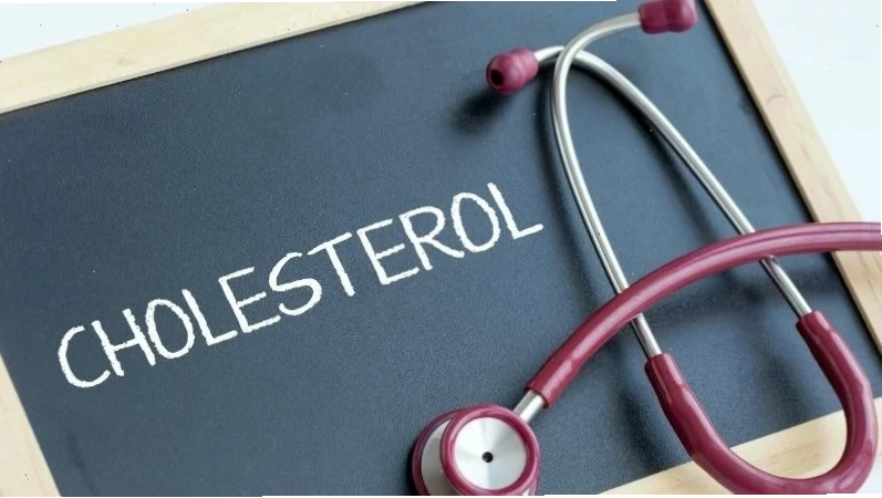 Saponin trong cỏ linh lăng có khả năng kiểm soát cholesterol