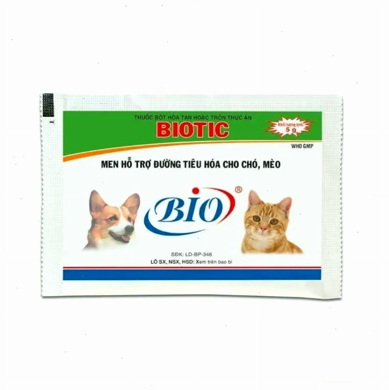Sử dụng men tiêu hóa cho mèo để hỗ trợ hệ tiêu hóa