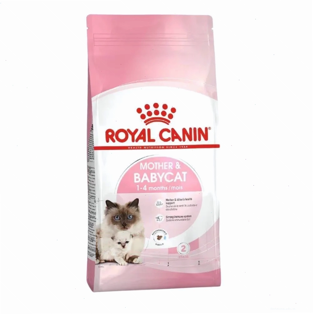 Thức ăn hạt cho mèo mẹ và mèo con Royal Canin Mother & Babycat