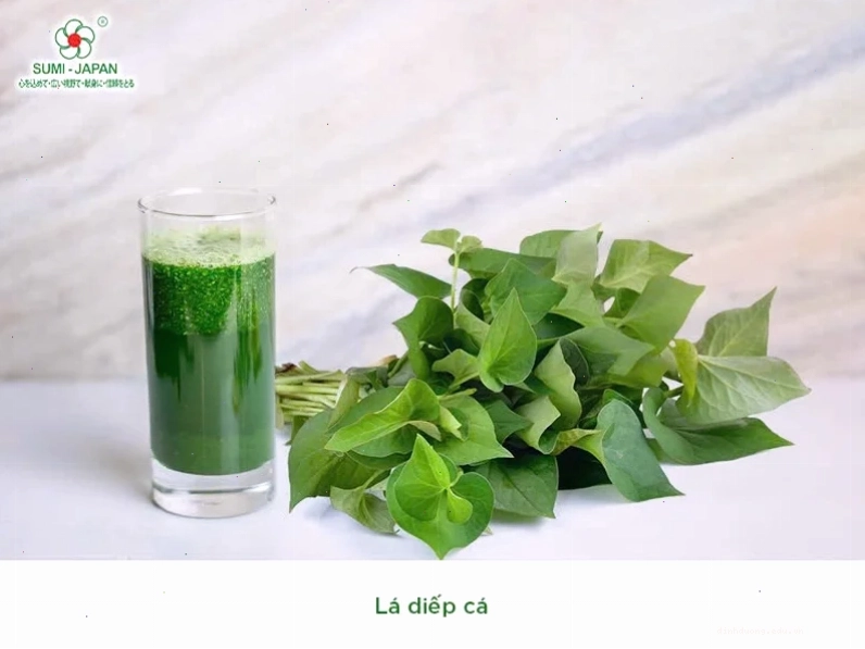 Trị hen gà bằng lá trầu không với tỏi và gừng