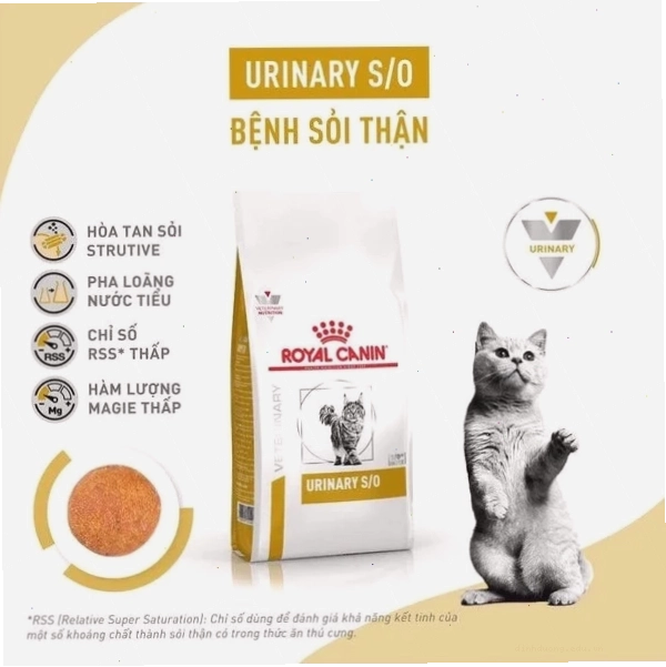 Triệu chứng mèo bị sỏi thận FUS FLUTD