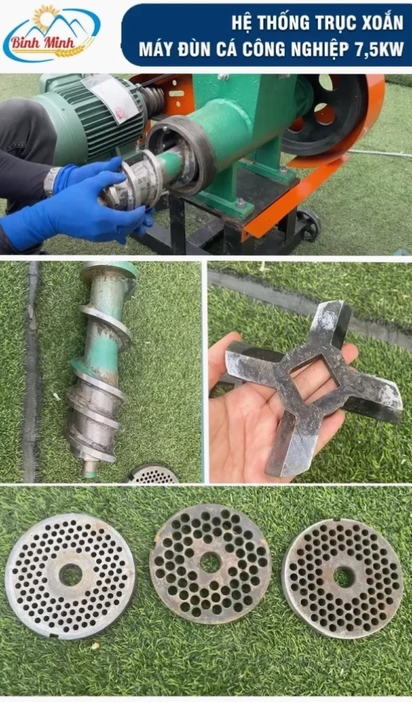 Trục xoắn máy xay nhuyễn cổ gà cho mèo