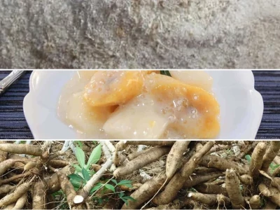Bã Sắn Bã Khoai Mì Lợi Ích Tuyệt Vời Cho Chăn Nuôi