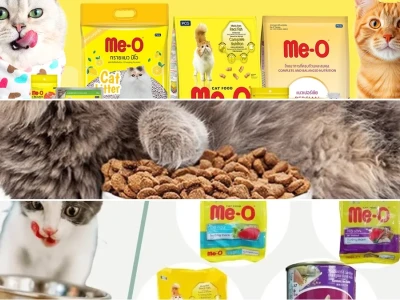 Bí Quyết Chọn Thức Ăn Cho Mèo Bicolor Phát Triển Toàn Diện