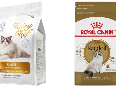 Bí quyết chọn Thức ăn cho mèo Ragdoll chuẩn nhất 2026