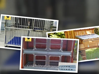 Bí Quyết Làm Chuồng Gà 2 Tầng Hiệu Quả 300 Triệu Đồng Mỗi Năm