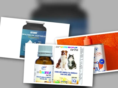 Bổ sung Omega 3 6 9 Cho Mèo Tối Ưu Sức Khỏe Toàn Diện