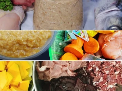 Cách làm pate cho mèo Tươi Ngon Dinh Dưỡng Tại Nhà