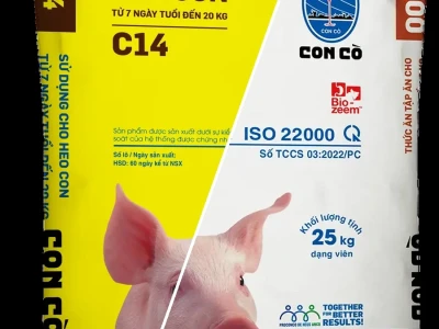Cám Tập Ăn Cho Lợn Con Bí Quyết Tăng Trọng Nhanh