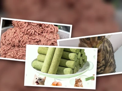 Cổ Gà Xay Cho Mèo Lợi Ích Và Cách Chế Biến An Toàn