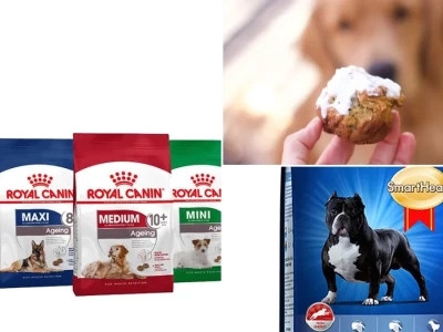 Dinh Dưỡng Cho Chó Huấn Luyện Tối Ưu Hiệu Suất
