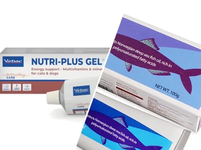 Gel Dinh Dưỡng Cho Chó Giải Pháp Cho Thú Cưng Biếng Ăn