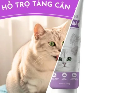 Gel Dinh Dưỡng Cho Mèo Tối Ưu Sức Khỏe