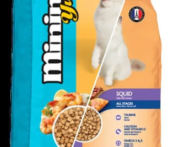 Hạt Minino Yum Hướng Dẫn Chọn Thức Ăn Cho Mèo Toàn Diện 2026
