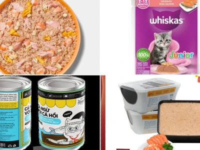 Khám Phá Pate Cá Hồi Cho Mèo Công Thức Tự Làm & Lợi Ích Vàng