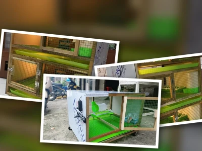 Lồng Ấp Úm Gà Con Giải Pháp Tối Ưu Cho Chăn Nuôi Hiện Đại