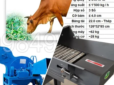 Máy Băm Cỏ Cho Bò Năng Suất Cao Thiết Bị Chăn Nuôi Tiết Kiệm Chi Phí
