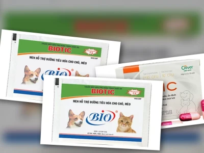 Men Tiêu Hóa Biotic Hỗ Trợ Toàn Diện Cho Chó Mèo