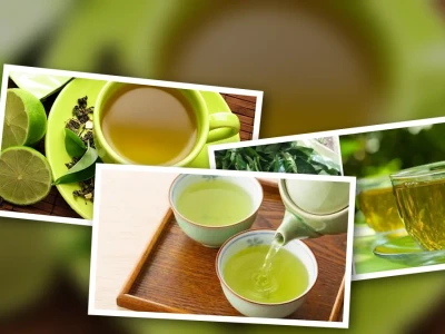Nước Chè Xanh Cho Gà Bí Quyết Phòng Bệnh Hiệu Quả