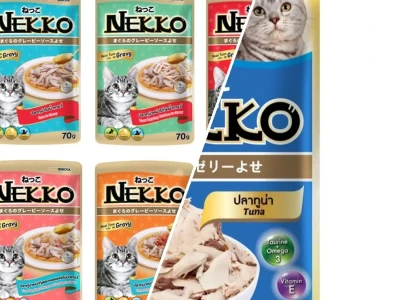 Pate Nekko Lựa Chọn Hàng Đầu Cho Mèo Con Và Mèo Trưởng Thành