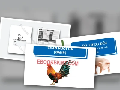 Quản lý Sổ Sách Chăn Nuôi Hiệu Quả Với Phần Mềm Chuyên Dụng