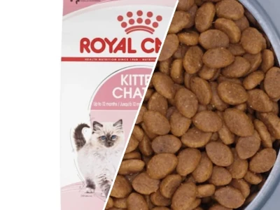 Review Hạt Royal Canin Dinh Dưỡng Tối Ưu Cho Mèo Cưng